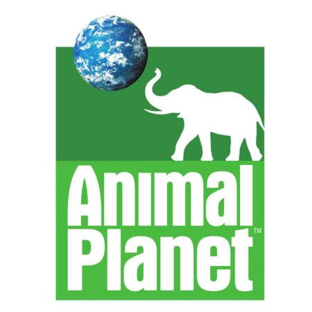 Animal Planet to air show on animals living on the 'Equator'